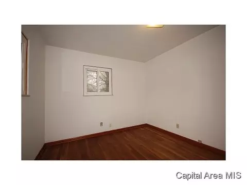 20 Birch Dr, Chatham, IL 62629 photo 14