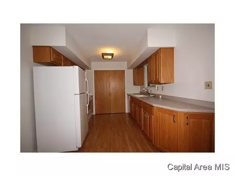 20 Birch Dr, Chatham, IL 62629 photo 9