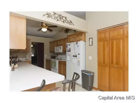 1503 Sequoia, Chatham, IL 62629 photo 8