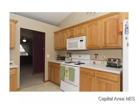 1503 Sequoia, Chatham, IL 62629 photo 7
