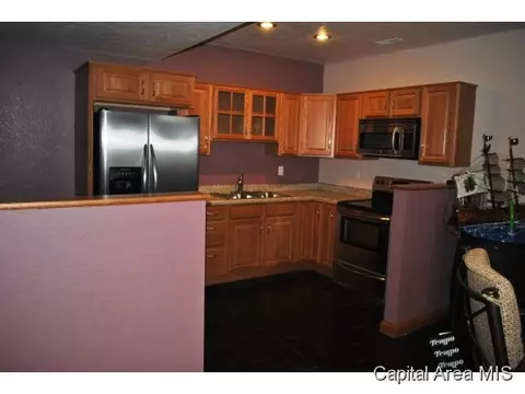 10900 Clearwater Ln, Shipman, IL 62685 photo 10