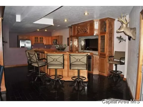 10900 Clearwater Ln, Shipman, IL 62685 photo 9