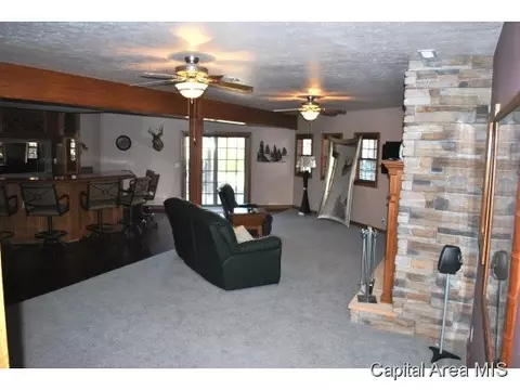10900 Clearwater Ln, Shipman, IL 62685 photo 8