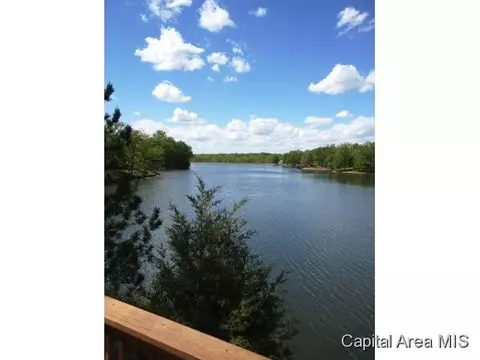 10900 Clearwater Ln, Shipman, IL 62685 photo 18
