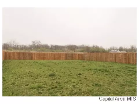 2908 Tanner, Springfield, IL 62702 photo 20
