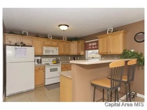 2908 Tanner, Springfield, IL 62702 photo 5