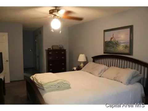 2313 S Park, Springfield, IL 62704 photo 16