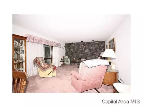 1023 E Lake Shore Dr, Springfield, IL 62707 photo 23