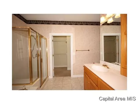 4513 Innis Brook Dr, Springfield, IL 62711 photo 14