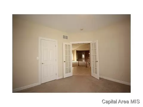 4513 Innis Brook Dr, Springfield, IL 62711 photo 19