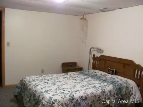 2008 Attenborough Ct, Springfield, IL 62704 photo 19