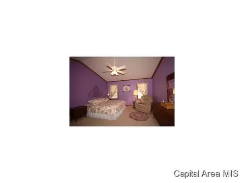 1424 Sequoia, Chatham, IL 62629 photo 10