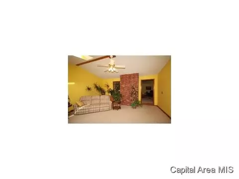1424 Sequoia, Chatham, IL 62629 photo 5
