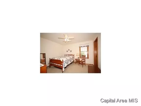 1424 Sequoia, Chatham, IL 62629 photo 13