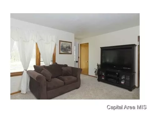 412 Star, Springfield, IL 62707 photo 24