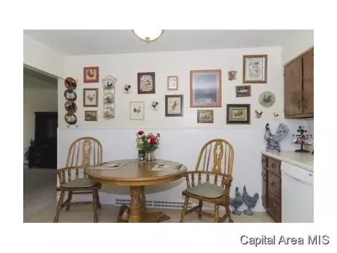 412 Star, Springfield, IL 62707 photo 19