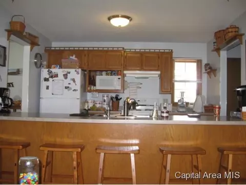 9325 Lost Spring Rd, Dawson, IL 62520 photo 5