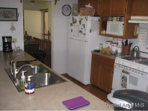 9325 Lost Spring Rd, Dawson, IL 62520 photo 6