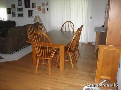 9325 Lost Spring Rd, Dawson, IL 62520 photo 4