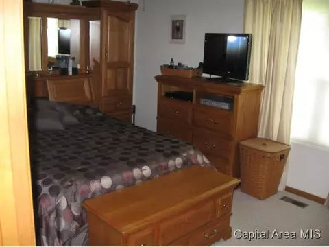 9325 Lost Spring Rd, Dawson, IL 62520 photo 9