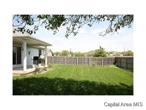 2420 Shabbona Dr, Springfield, IL 62702 photo 23