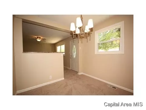 1641 Schrader, Springfield, IL 62702 photo 11