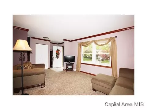 1904 Creighton, Springfield, IL 62703 photo 4