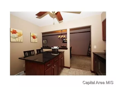 1904 Creighton, Springfield, IL 62703 photo 10