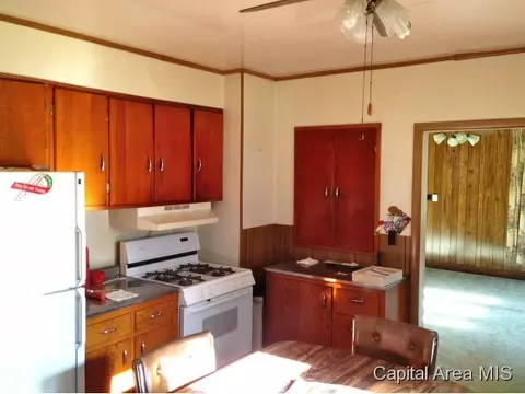 300 W Pine Street St, Tallula, IL 62688 photo 11