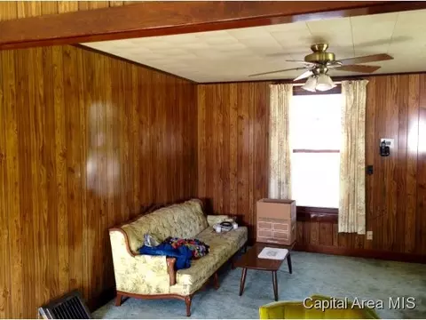 300 W Pine Street St, Tallula, IL 62688 photo 10