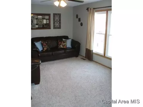 1104 Bolin, Springfield, IL 62703 photo 8