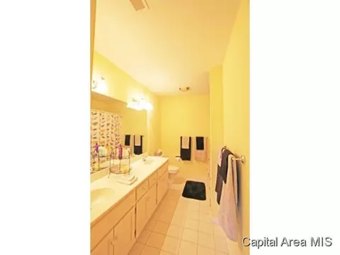 3909 Old Mill Ln, Springfield, IL 62711 photo 17