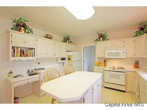 3909 Old Mill Ln, Springfield, IL 62711 photo 10
