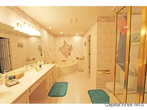 3909 Old Mill Ln, Springfield, IL 62711 photo 13