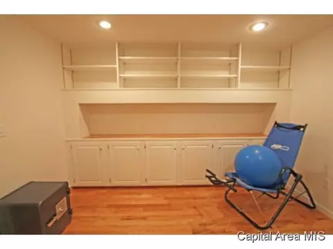 3909 Old Mill Ln, Springfield, IL 62711 photo 21