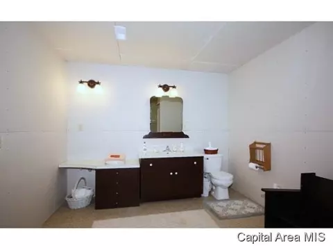 28053 Quarton Rd, Palmyra, IL 62674 photo 20