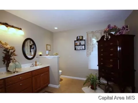 28053 Quarton Rd, Palmyra, IL 62674 photo 13