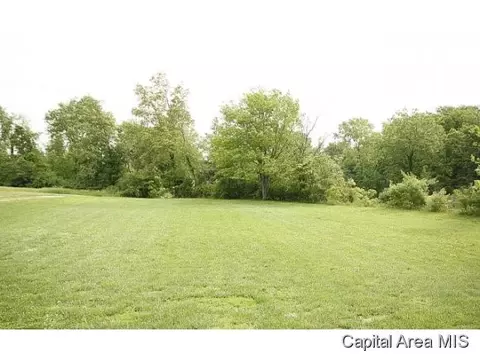 28053 Quarton Rd, Palmyra, IL 62674 photo 4
