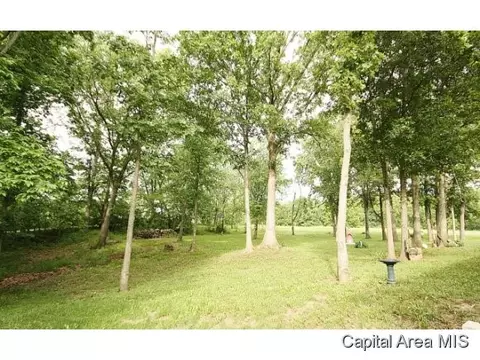 28053 Quarton Rd, Palmyra, IL 62674 photo 3
