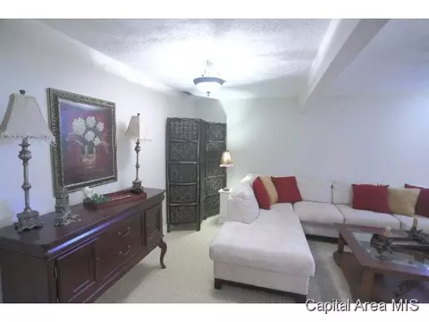 3713 Windshire Dr, Springfield, IL 62704 photo 13