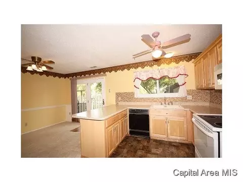 25 Trailridge Ln, Springfield, IL 62704 photo 10