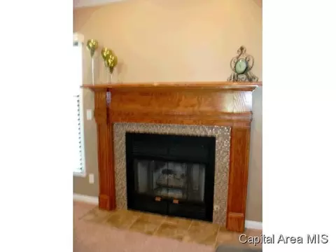 1921 Strawberry, Springfield, IL 62711 photo 5