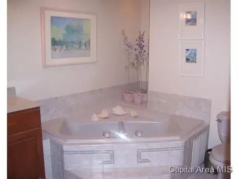 2713 Timber Pointe, Springfield, IL 62702 photo 8
