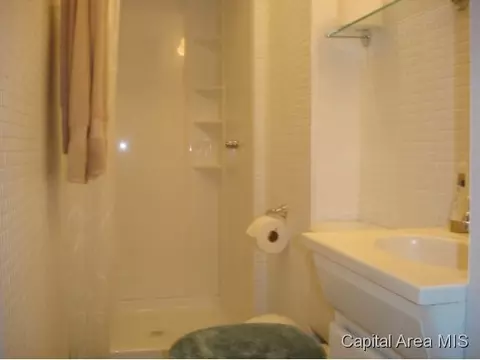 1421 S Spring St, Springfield, IL 62704 photo 10