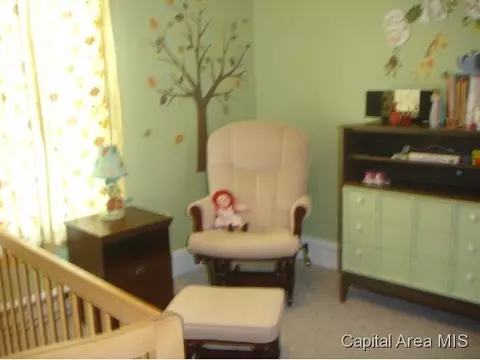 1421 S Spring St, Springfield, IL 62704 photo 12