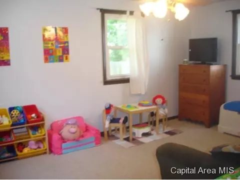 1421 S Spring St, Springfield, IL 62704 photo 9