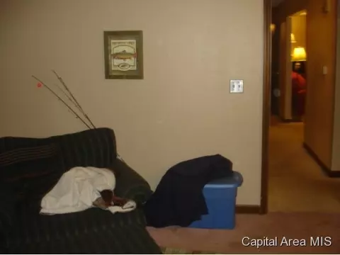 19 Rainbow Rd, Springfield, IL 62712 photo 14