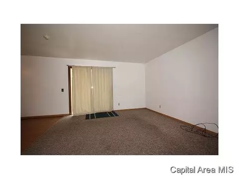 37 Drawbridge, Springfield, IL 62704 photo 19