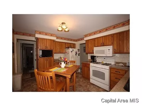 63 Radcliff, Springfield, IL 62703 photo 19
