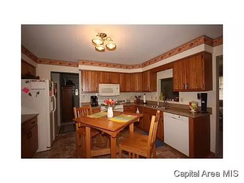 63 Radcliff, Springfield, IL 62703 photo 20